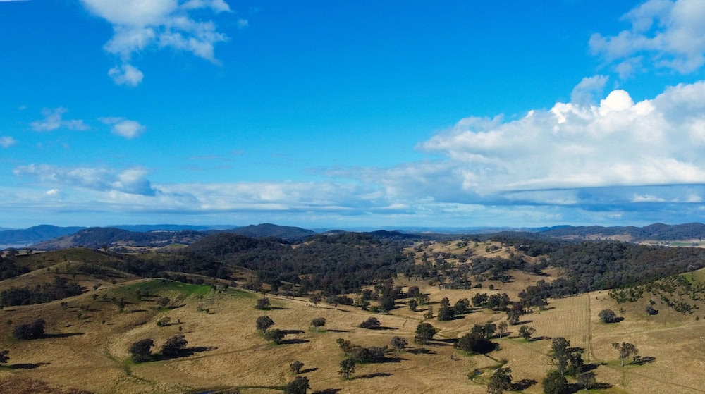 Scenic views win out over solar project in Mudgee