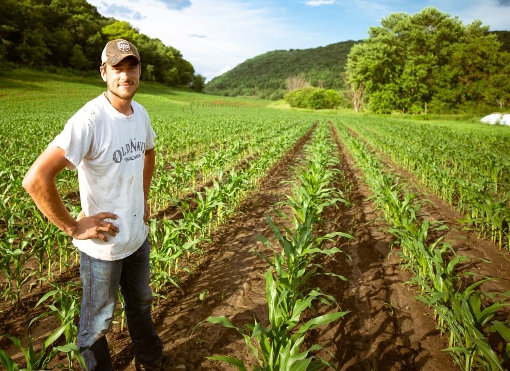 Free mental health support for NSW farming businesses