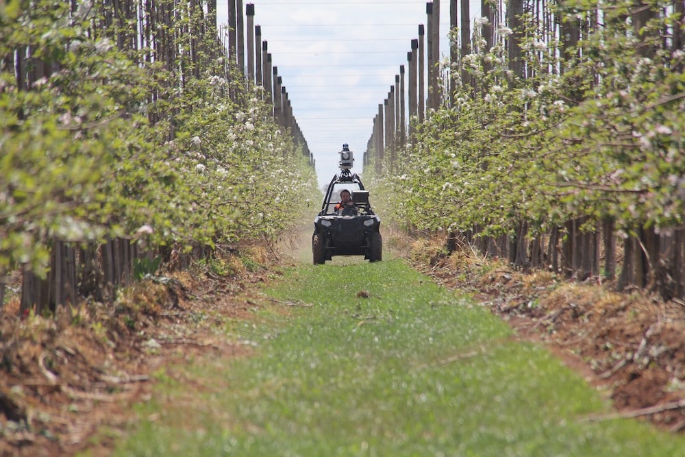 AI in farming: new tech to help the bottom line