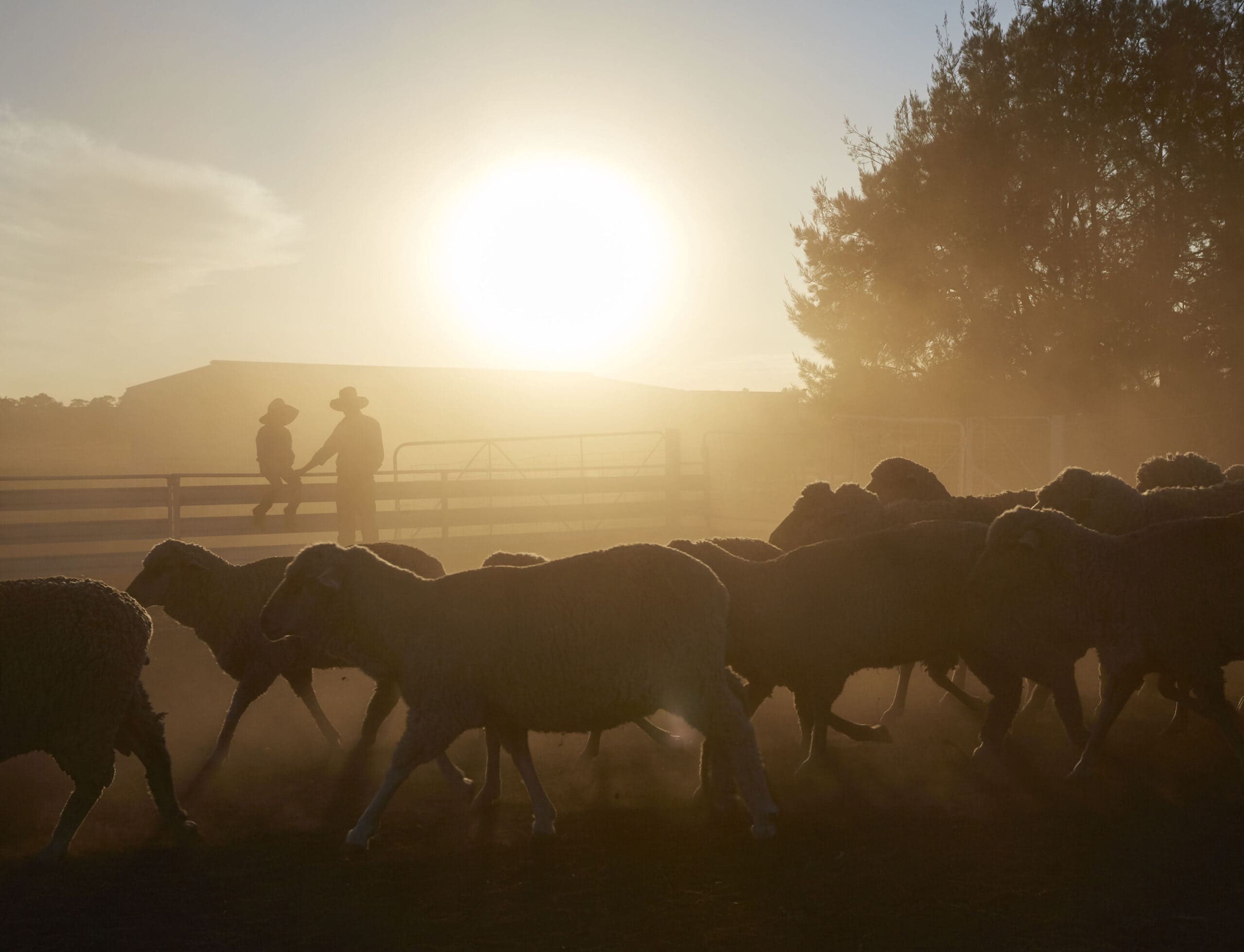 NSW Farmers partners with NAB to upskill its members