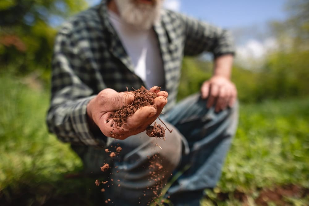 Soil carbon to reduce greenhouse emissions