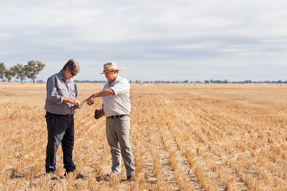 Grow a carbon asset on your farm