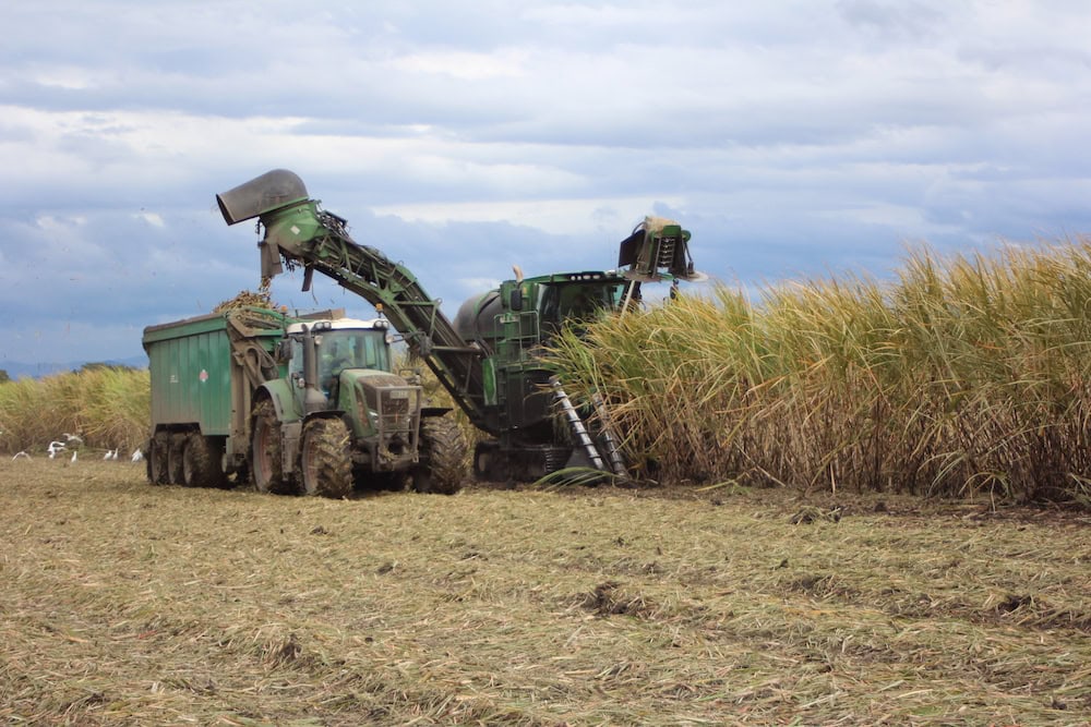 Sweet outlook for sugar prices