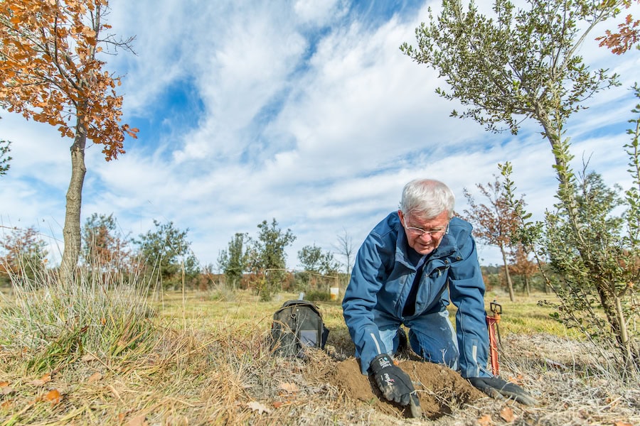 New era for truffles in the highlands