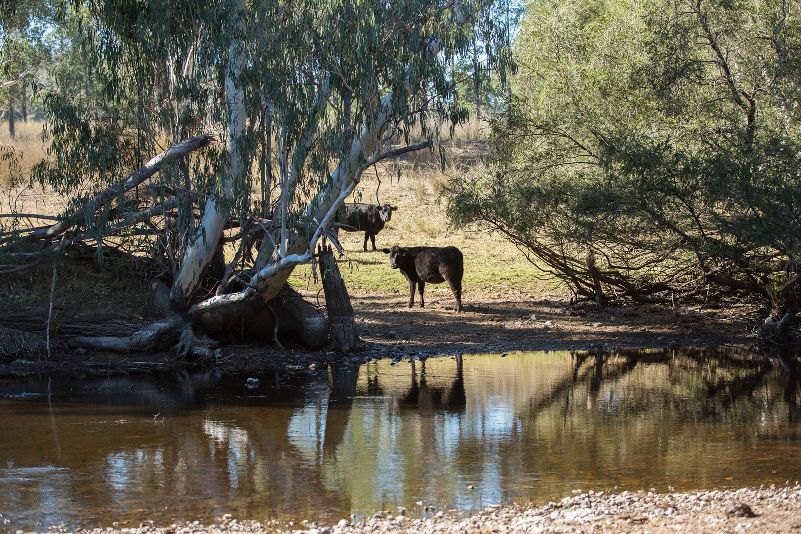 Water infrastructure rebate returns