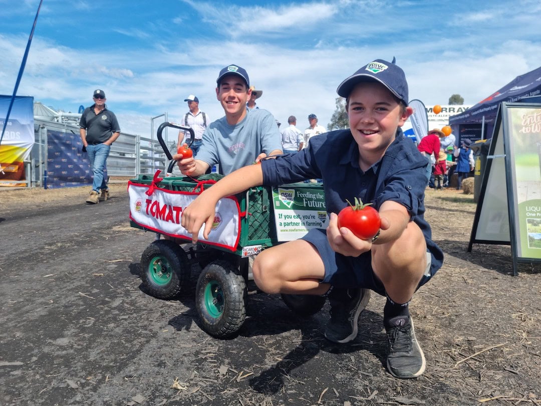 Keeping it in the family: the story of Chester’s Tomatoes