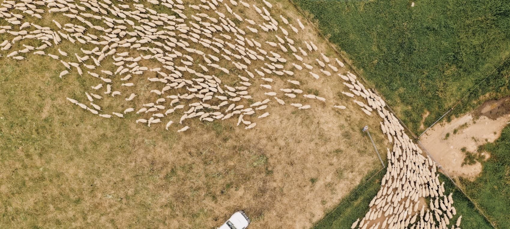 Trust in Aussie wool campaign launched