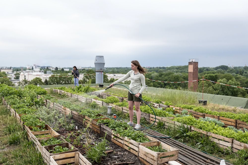 Is farming in the ‘burbs here to stay?