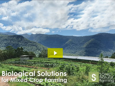 Nutrient dense food from soil conscious farmers
