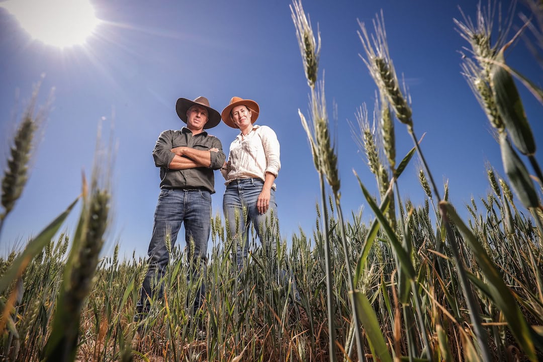NSW Farmers joins campaign against anti-farming policies