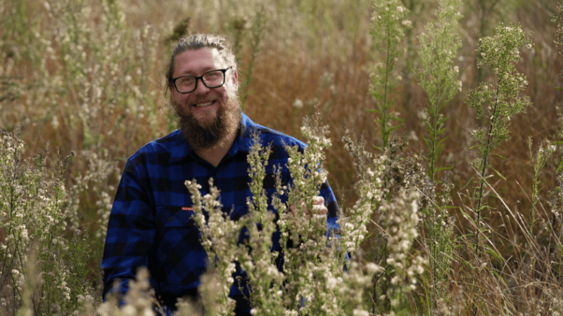 New biocontrol agent fights fast-spreading weed