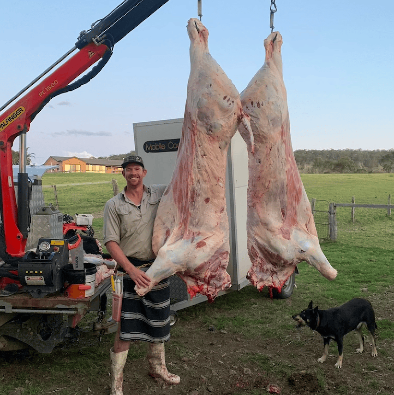 Mobile butchers: from paddock to produce