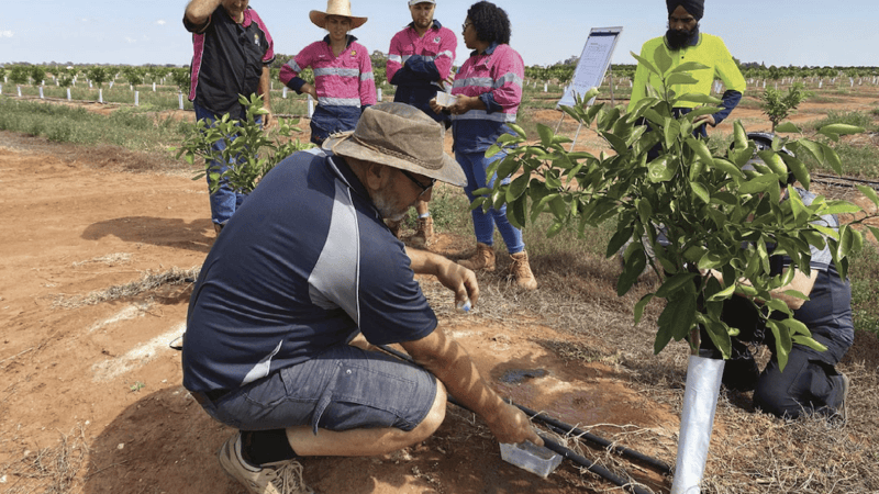 Data and technology for drought resilience