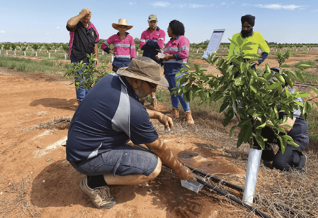 Data and technology for drought resilience