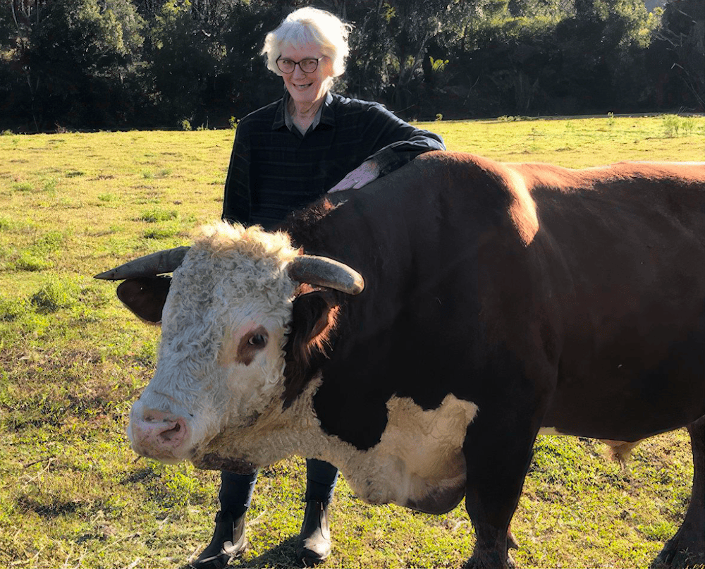 Meet a Member: Jan Fletcher from the Far North Coast