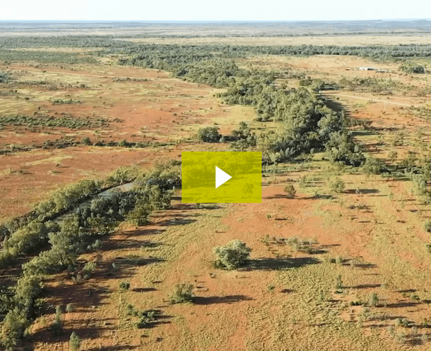 Outback landscape restoration