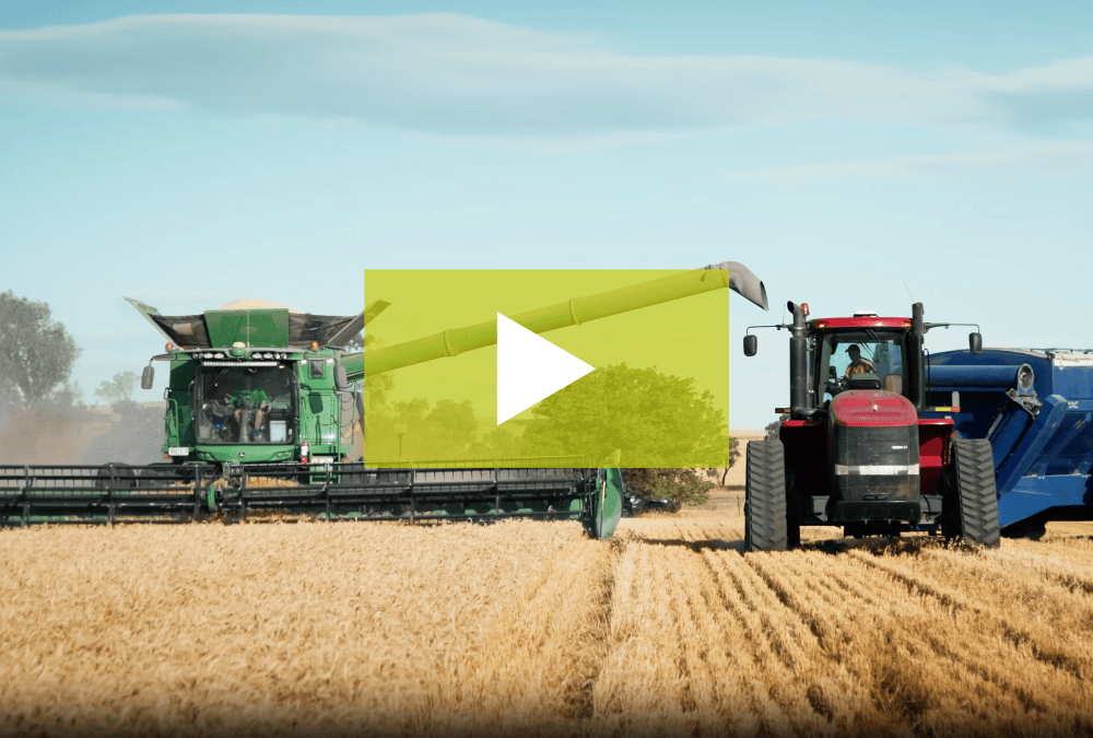 Log of Loam’s SecondCrop helps farmers build stable soil carbon
