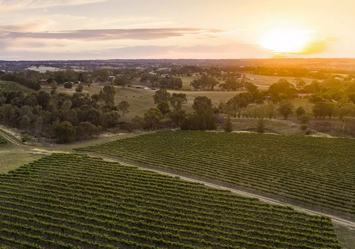 NSW Farmers budget asks: the year ahead